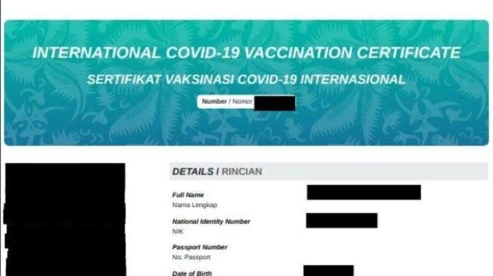 Cara Download Sertifikat Vaksin Internasional Sesuai Standar Organisasi Kesehatan Dunia (WHO)