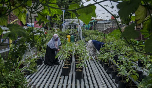 Indonesia Butuh Penguasaan Teknologi Cerdas Maritim dan Agrikultur