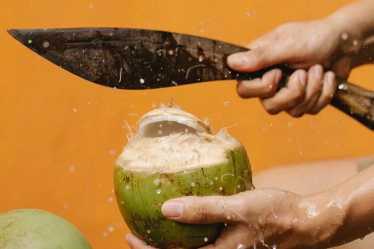 Khasiat air kelapa jaga kesehatan tubuh di tengah lonjakan omicron