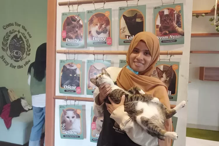 Menyelami Kafe Bilik Kucing (1) : Berangkat Dari Hobi, Selektif Jika Ada yang Adopsi Kucing